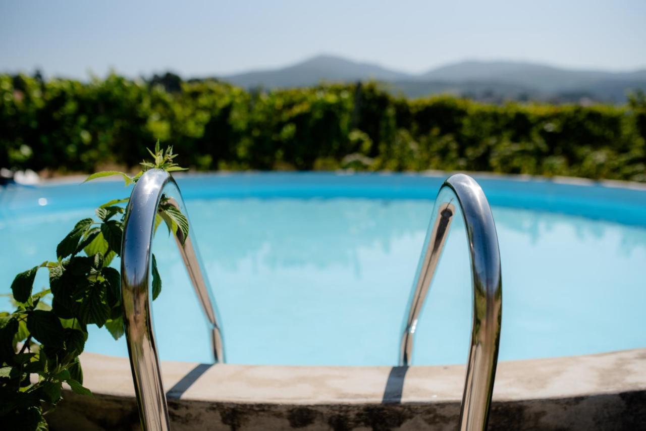 Quinta De Vila Nova - Agroturismo Monção 外观 照片