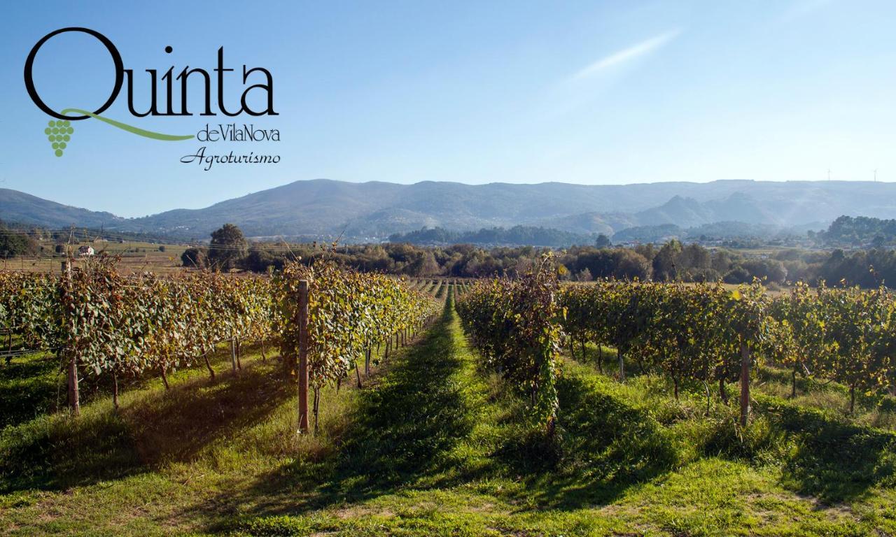 Quinta De Vila Nova - Agroturismo Monção 外观 照片