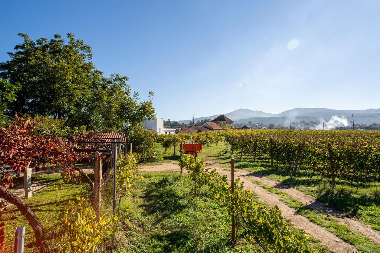 Quinta De Vila Nova - Agroturismo Monção 外观 照片